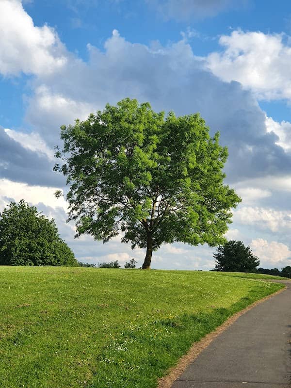 Coppice Farm Park & Field - Image 1