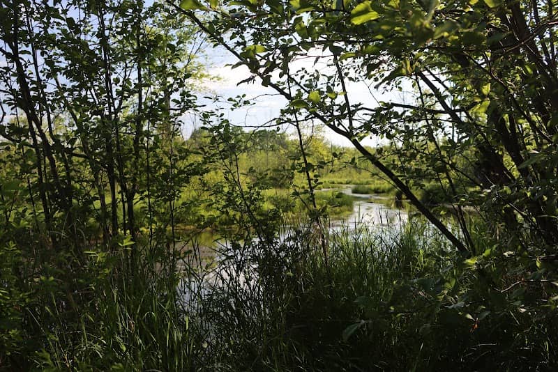 Riverbank Preserve - Image 1
