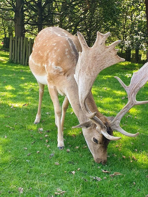 National Trust - Dunham Massey - Image 2