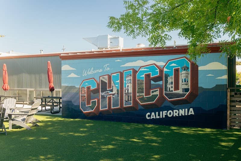 Welcome To Chico Mural - Image 2