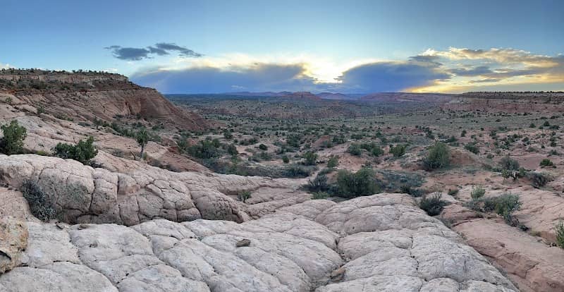 Cobra Arch - Image 2