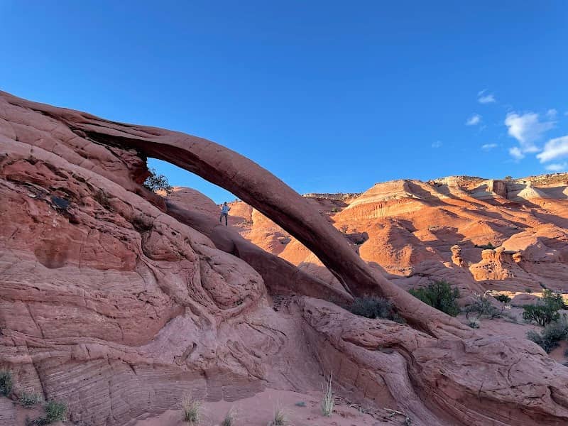 Cobra Arch - Image 1