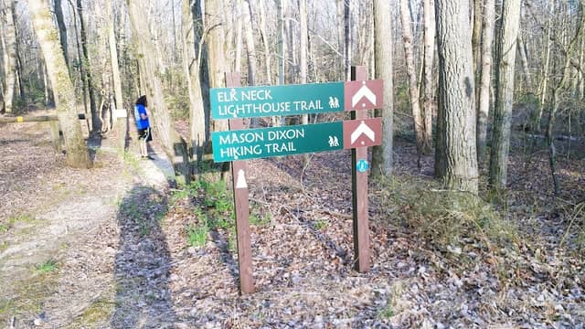 Elk Neck State Forest - Image 1