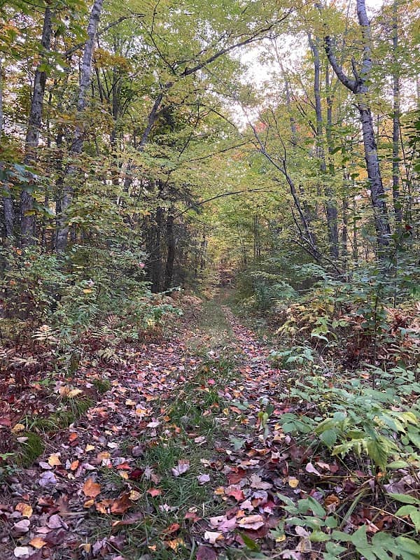 Davis Conservation Easement - Image 1
