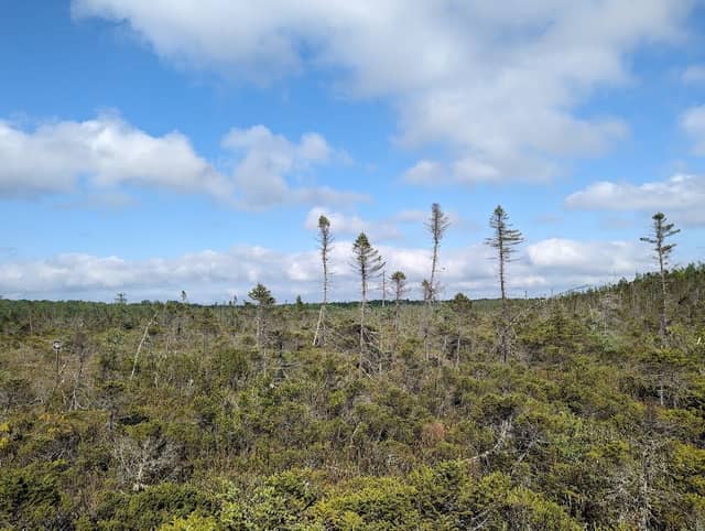 Davis Conservation Easement - Image 2