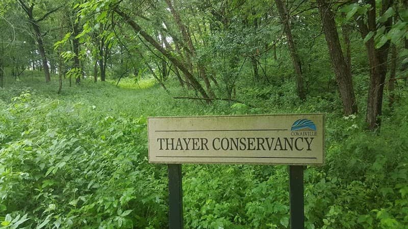 Thayer Conservancy - Image 2