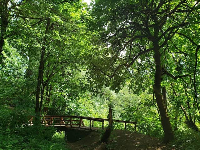 Ewing Young Park - Image 2