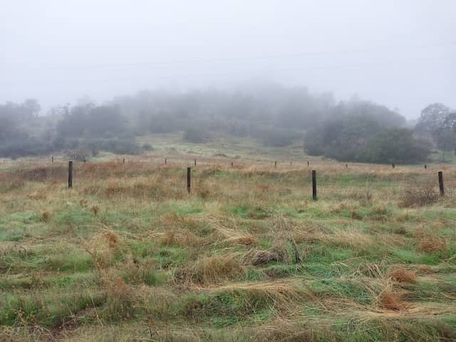 Austin and Mary Ewell Preserve at Fine Gold Creek - Image 1