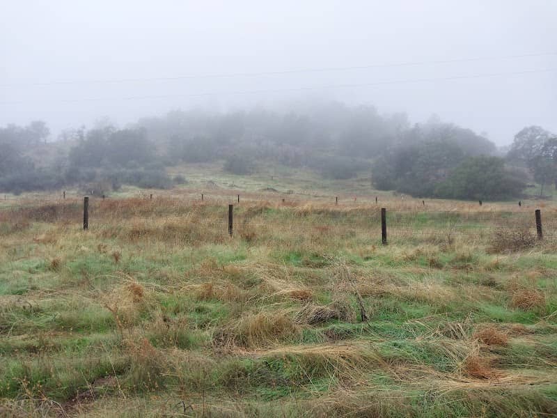 Austin and Mary Ewell Preserve at Fine Gold Creek - Image 1