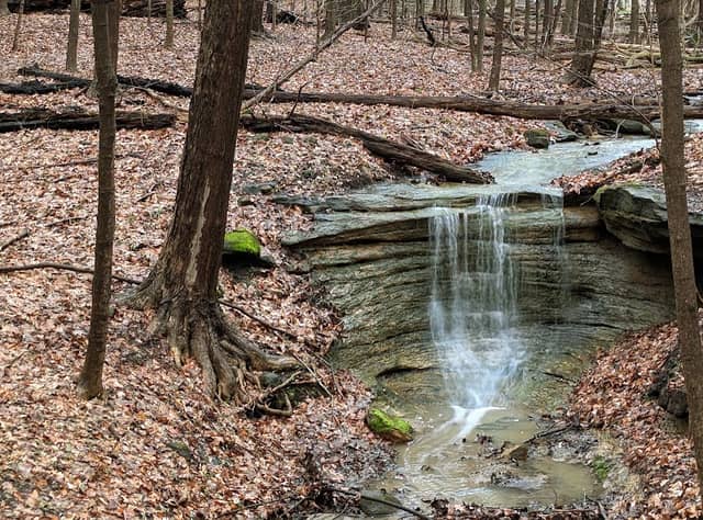 Cascade Park - Image 2