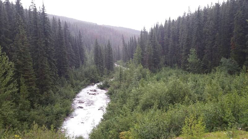 Tonquin Valley Trailhead (Portal) - Image 3