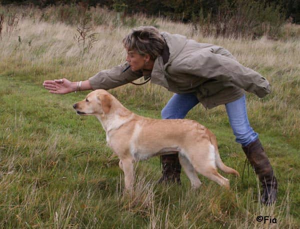 Rickneys Gundog Training Ground in Hertfordshire - Image 1