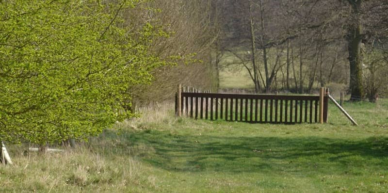 Rickneys Gundog Training Ground in Hertfordshire - Image 2