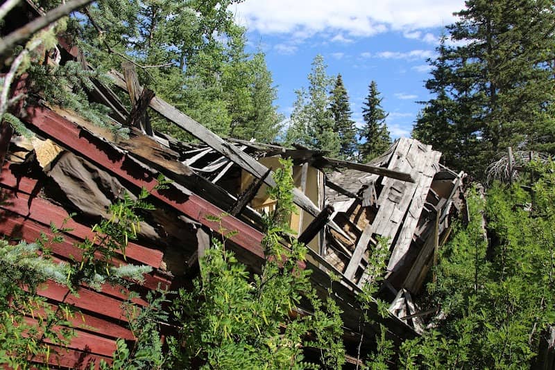 Old homestead - Image 2