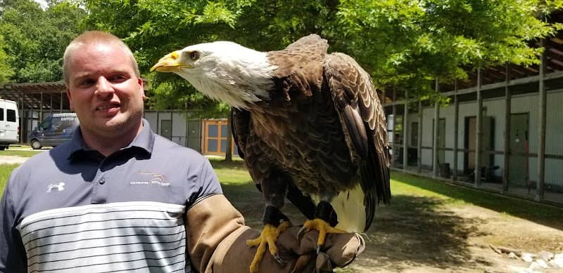 Auburn University Raptor Center - Image 3