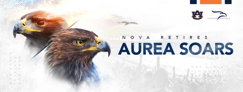 Auburn University Raptor Center - Image 2