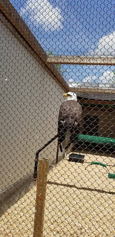 Auburn University Raptor Center - Image 1