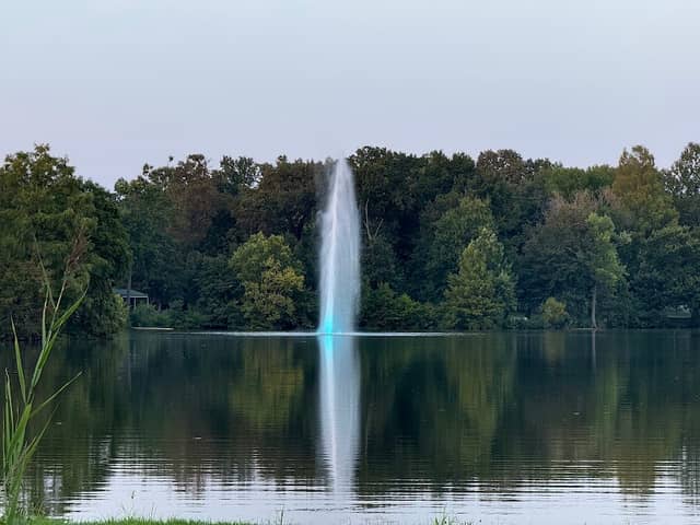 Nature Observatory - Image 2