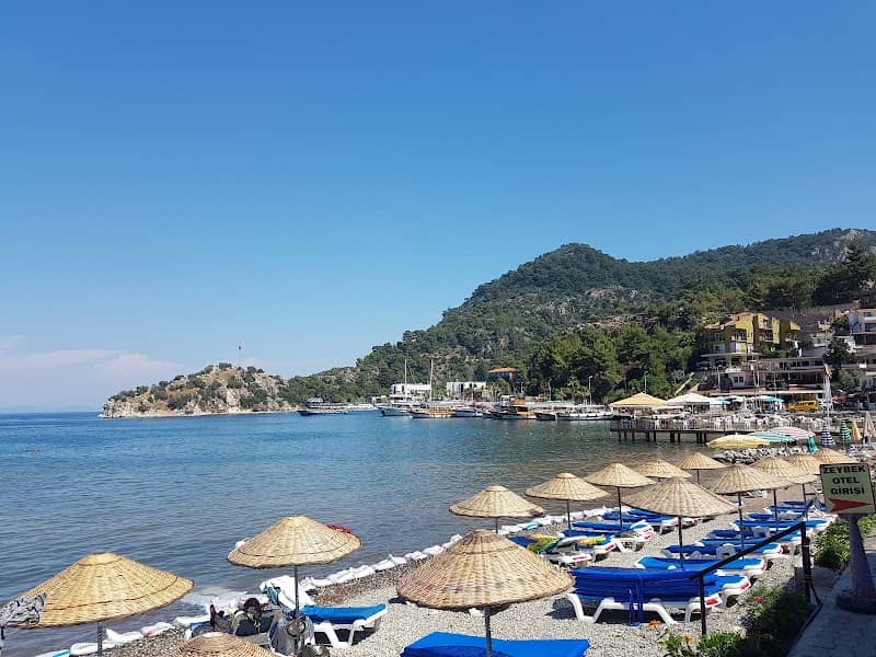 turunç koyu - Image 1