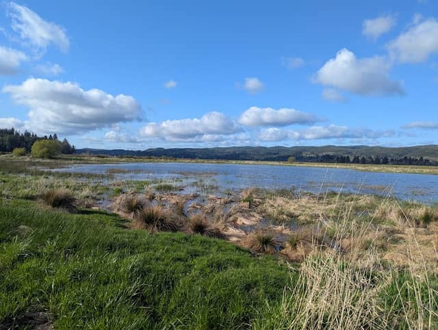 Potter Slough Central Loop - Image 1