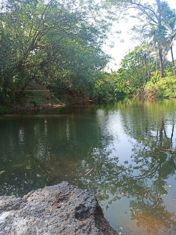 MotherLand Waterfalls - Image 1