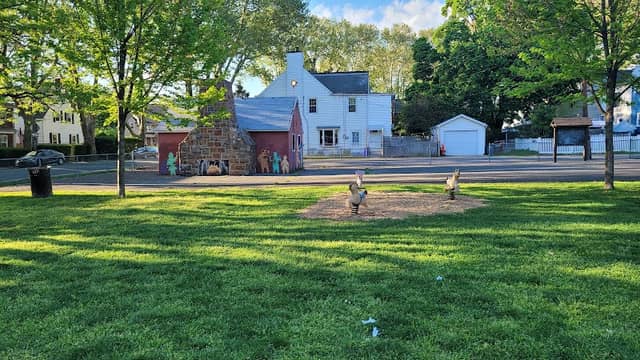 Elmwood Park - Image 2