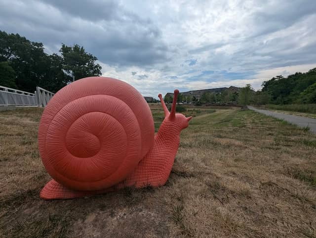 Snail Trail - Image 1