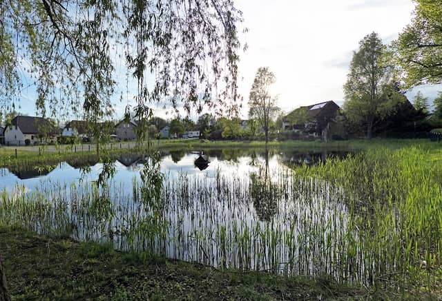 Dorfteich Bestensee - Image 1