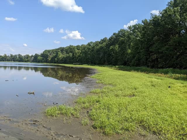 Patoka River National Wildlife Refuge Snakey Point - Image 1