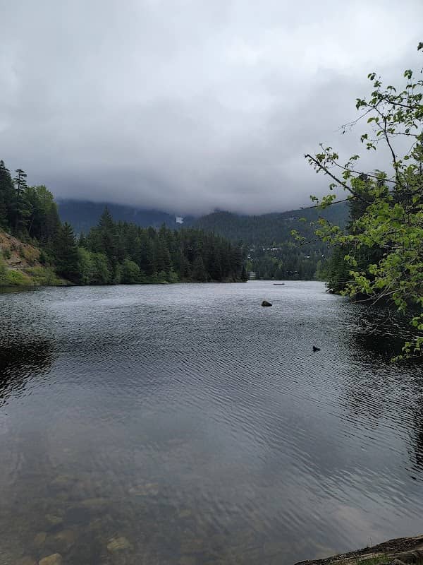 Condy Park - Image 2