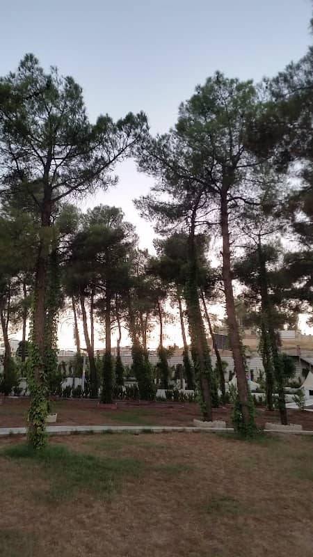 پارکی فلامینگۆ - Image 1
