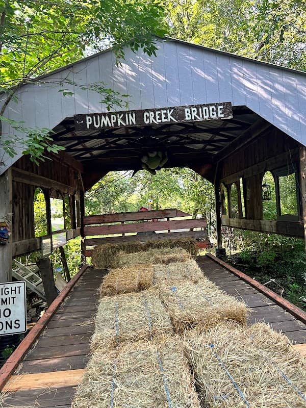 Wheatfield Pumpkin Farm - Image 1