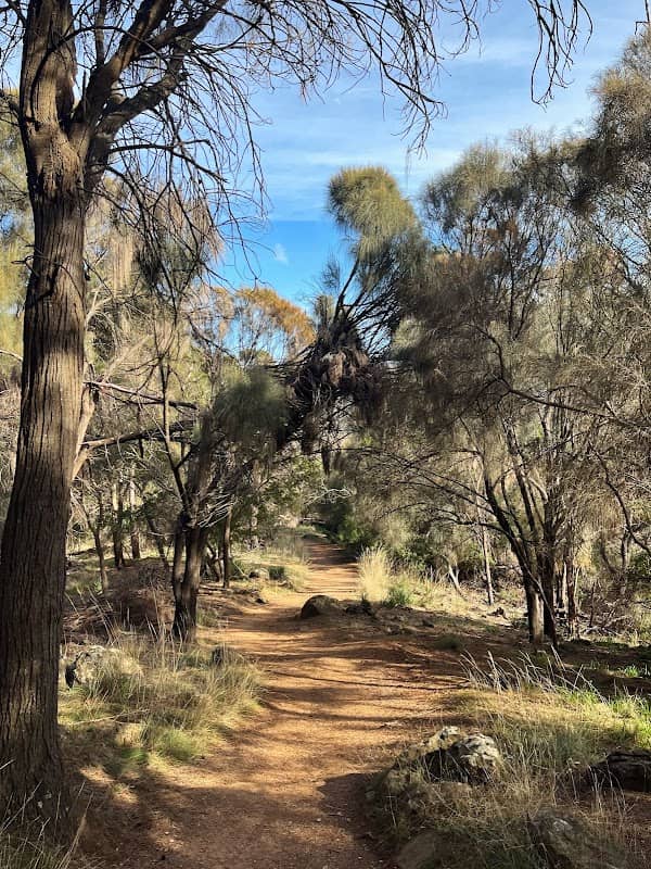 Zig Zag Reserve - Image 1