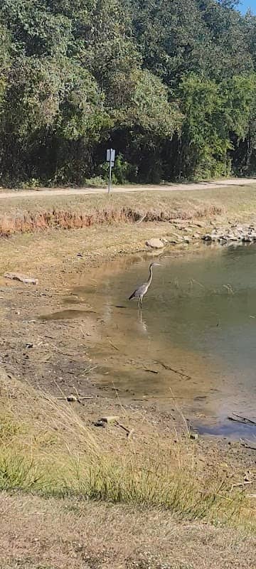 Callicott Student Park - Image 1