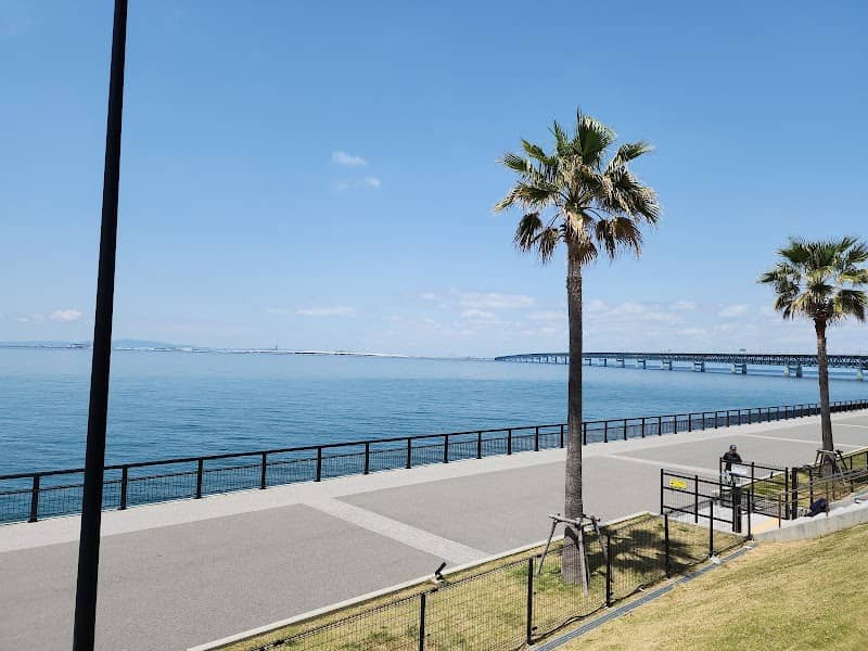 Central Observation Deck - Image 2