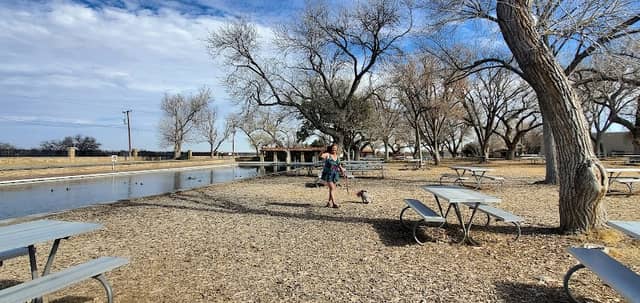 Balmorhea State Park Headquarters - Image 3