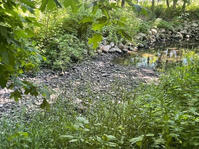 Pike Lake Park - Image 2