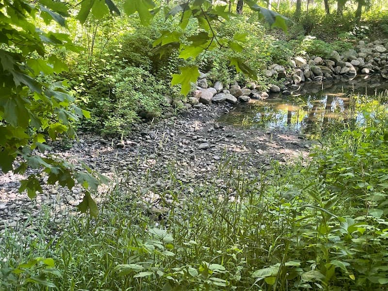 Pike Lake Park - Image 2