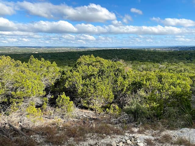 Kerrville-Schreiner Park - Image 1