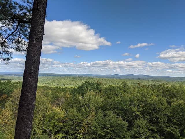 Nottingcook Forest - Image 1