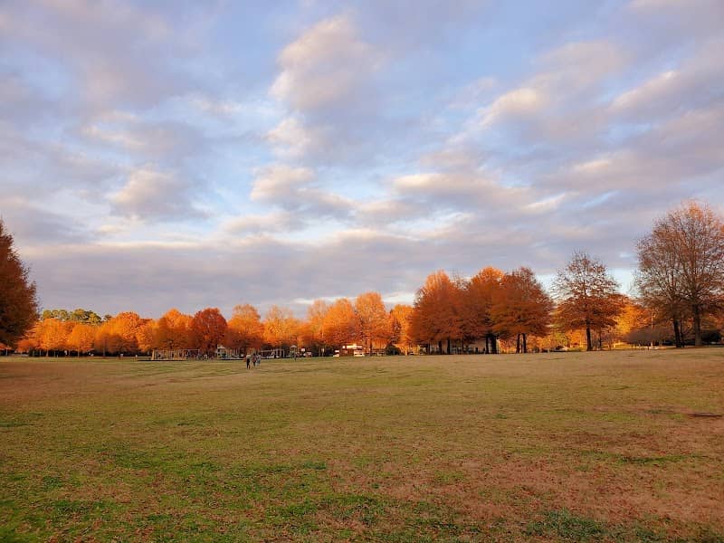 Walter Y. Elisha Park - Image 2