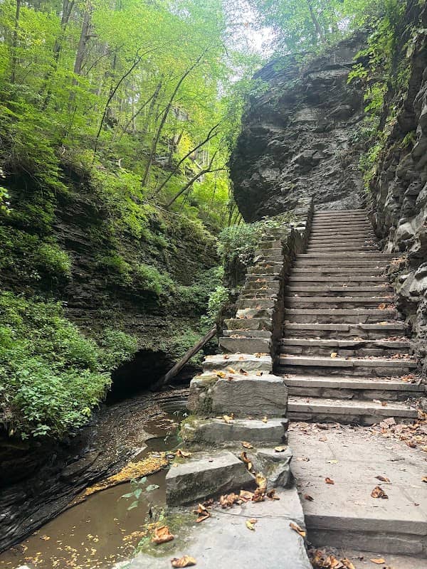 Watkins Glen State Park Gorge Trail (Entry/Exit Point) - Image 1