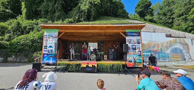 Spruce Pine Alien Festival - Image 1