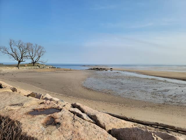 Altschuler Beach - Image 1