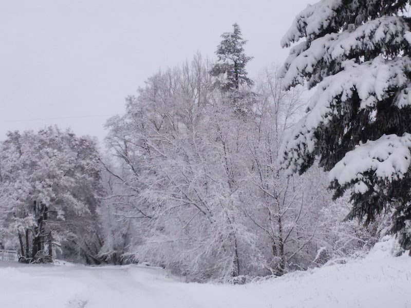Ruhl Park - Image 1