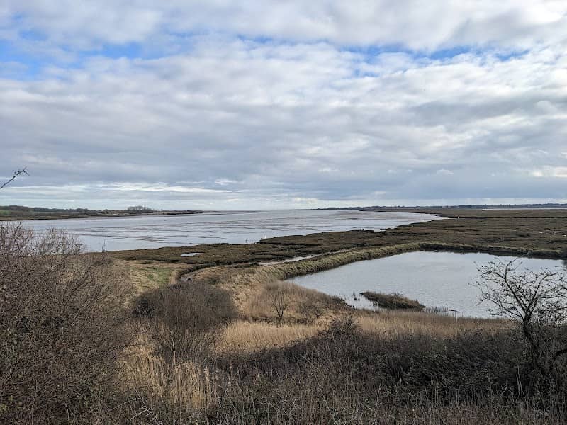 Geedon Bay Hide - Image 2