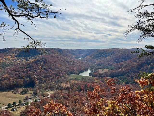 Berea Forest Trail - Image 2