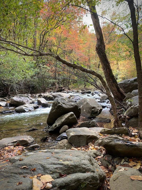 Holly Creek Picnic Area - Image 1