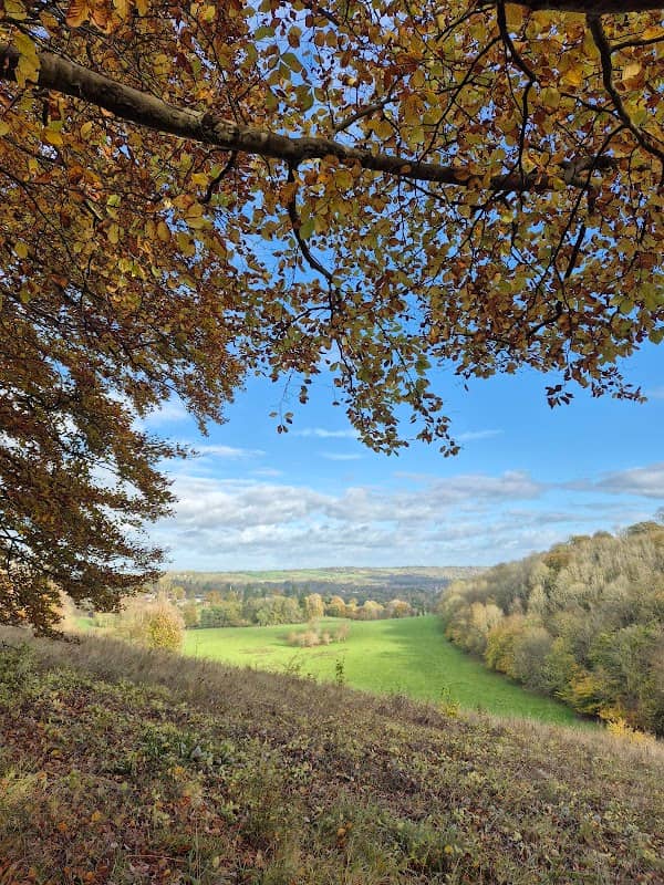 Gatton Park - Image 1