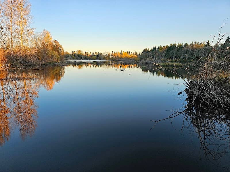 Beaverton Creek Wetlands Natural Area - Image 3